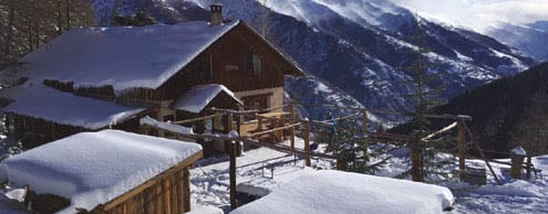 Grizzly_Hiver