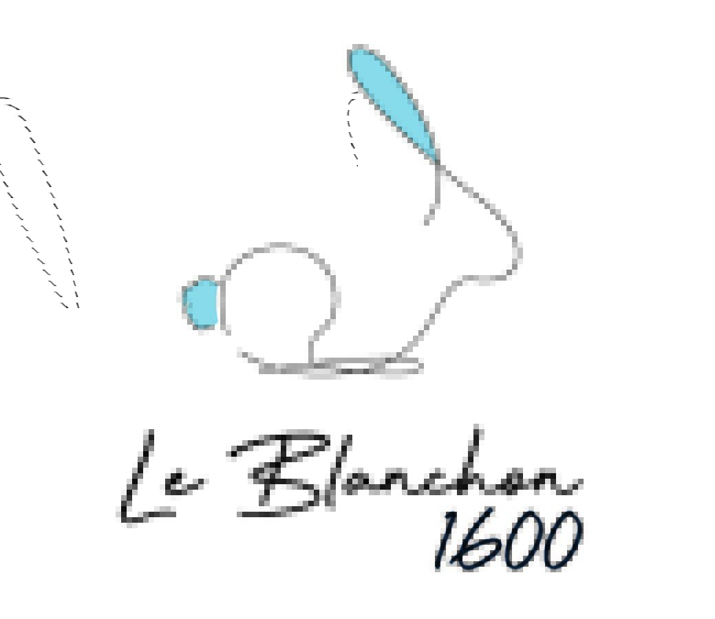 LE-BLANCHON_logo_JPEG – ot partenaires