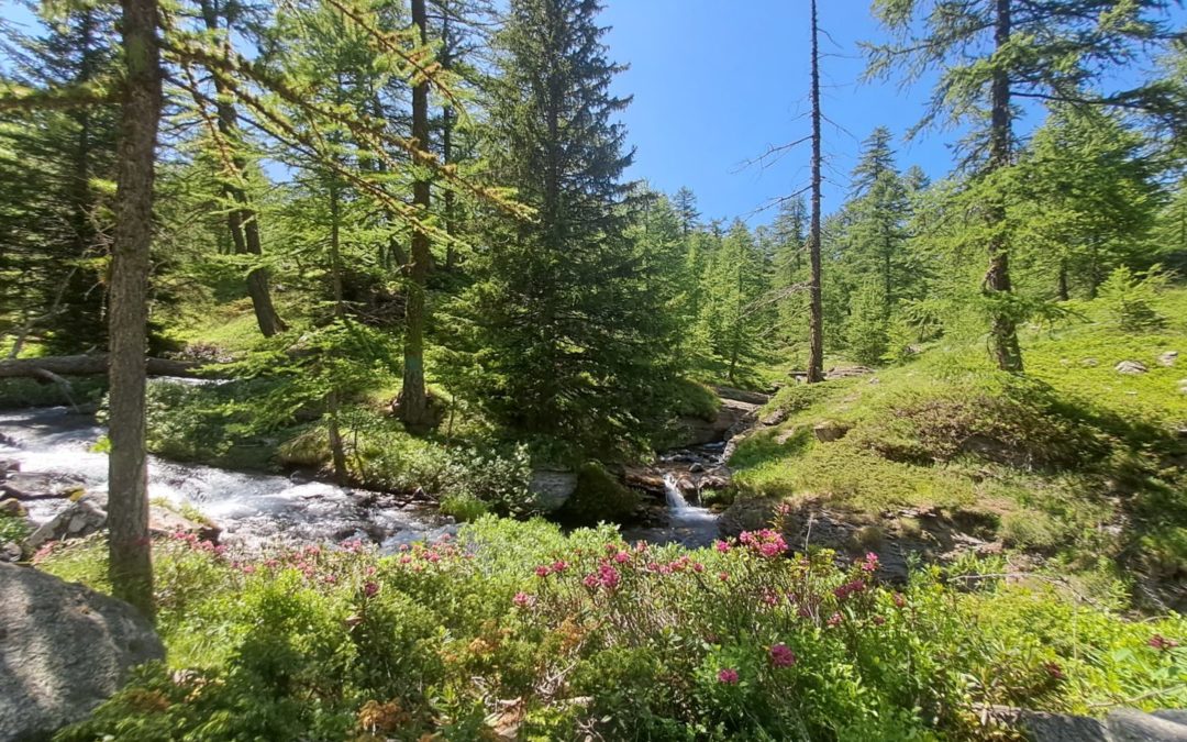 Le Plateau de Sestrière