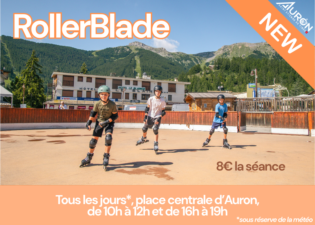 Roller Blade (2)